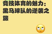 Kaiyuan Game card-射箭比赛中黑马崛起，或将引领新风潮？的简单介绍