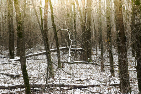 阿尔塞布尔输在哪里,冬季交通灾害 阿尔塞布尔输在哪里,冬季交通灾害