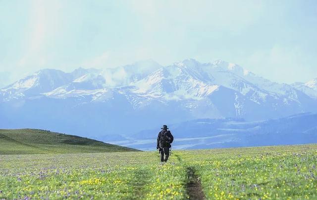 包含坚韧不拔！逆境中突破困境！的词条