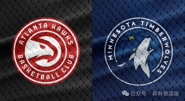 森林狼全队发威，击败老鹰