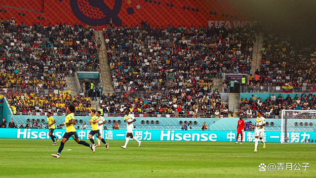 诺维奇主场逼平切尔西，保级希望再次燃起！的简单介绍