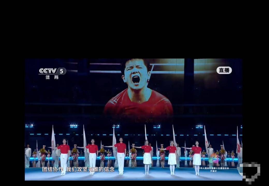 包含法国羽毛球队翻盘日本羽毛球队，马琳高光表现的词条