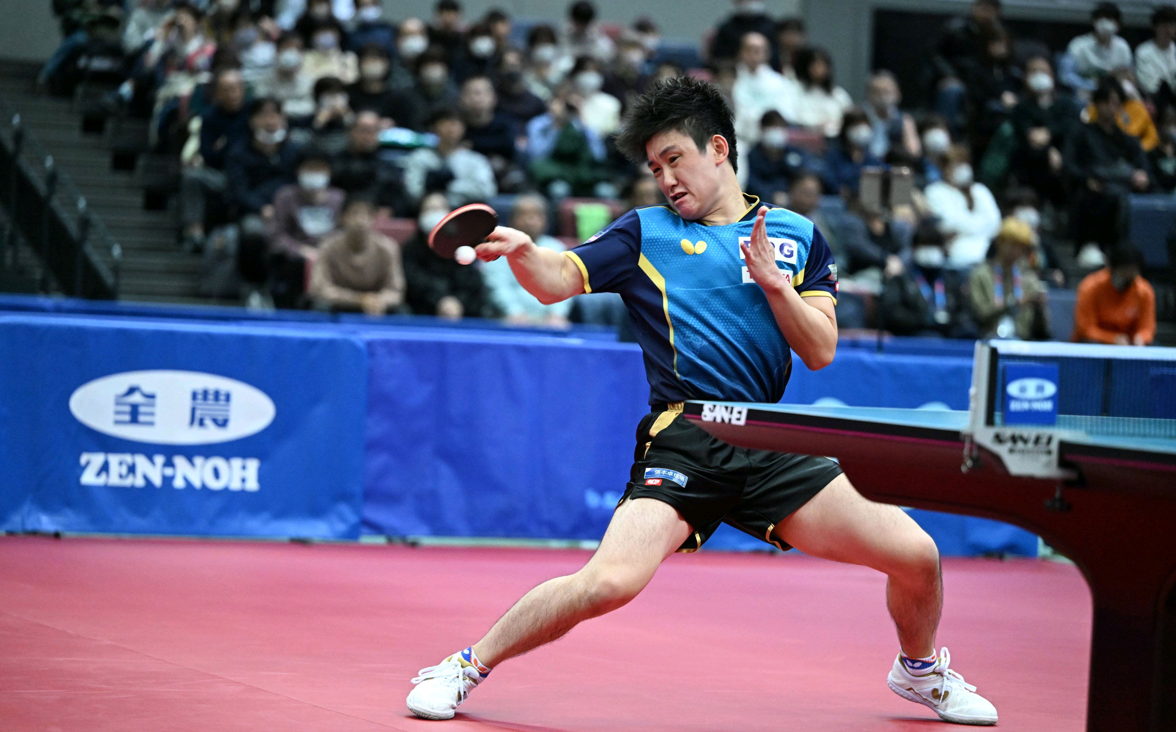 波兰队横扫韩国队，张本智和统治全场的简单介绍