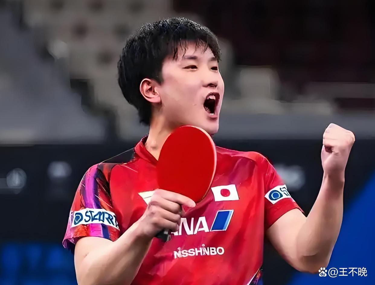波兰队横扫韩国队，张本智和统治全场的简单介绍